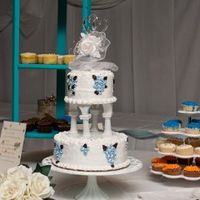 Pro pics from my wedding