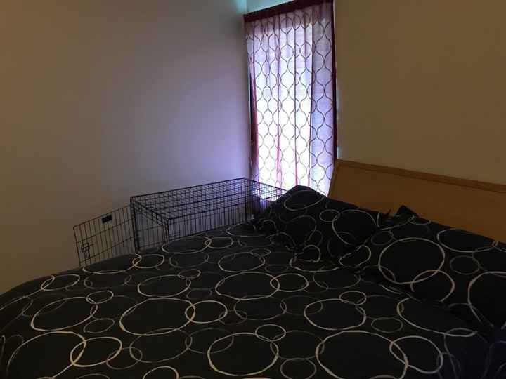 NWR - Working with warm (but actually dingy) lighting