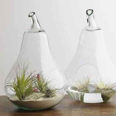 Centerpieces! HELP!
