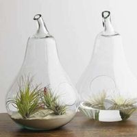 Centerpieces! HELP!