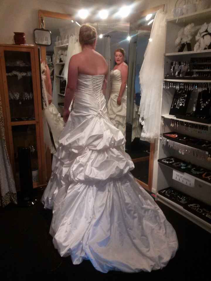 Dress fitting cancelled :( **UPDATE w/ PICS!** Just kidding, just went in and it was GREAT!