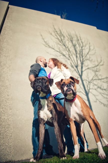 Engagement Pics with Dog!