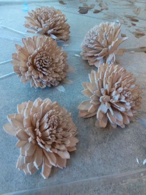 DIY: Sola flower bouquets have been started -- PICS
