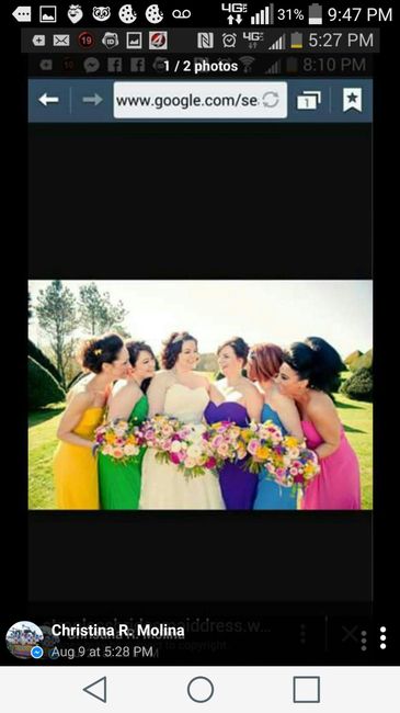 What are your colors?