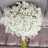 Show your Bouquet or Bouquet inspiration *PICS*