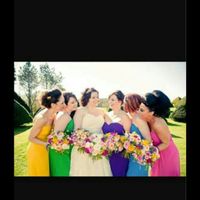 What are your colors?