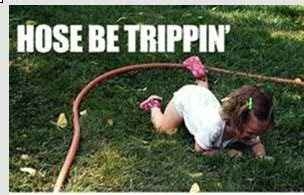 What have you learned on WW?