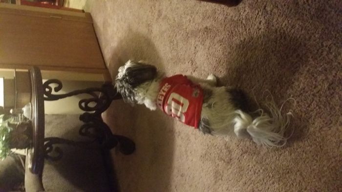 Fur baby friday!