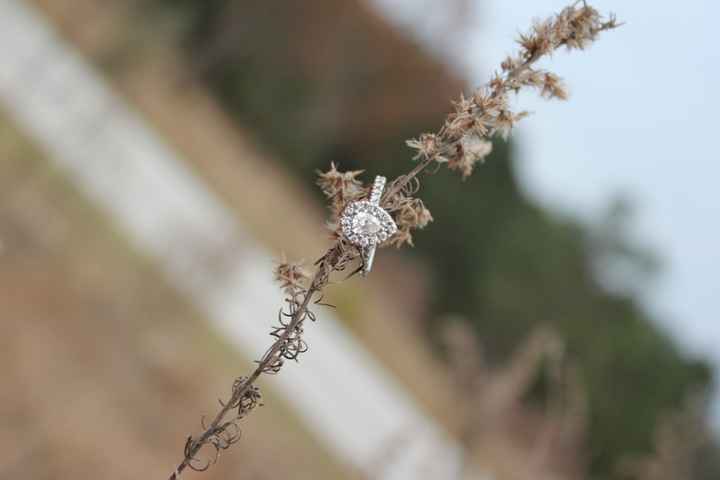 We haven't had any ring porn in awhile...