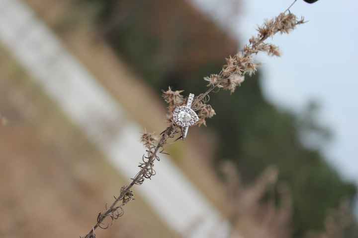 Engagement pictures!