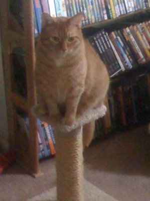 NWR: What kind of dog do you have?