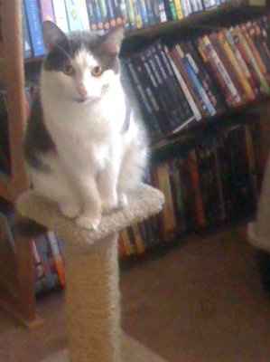 NWR: What kind of dog do you have?