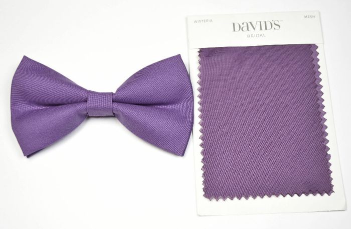 Where to find solid color tie that matches David's Bridal Wisteria? 2