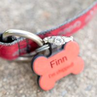 All those November 2019! Let’s see those rings! - 1