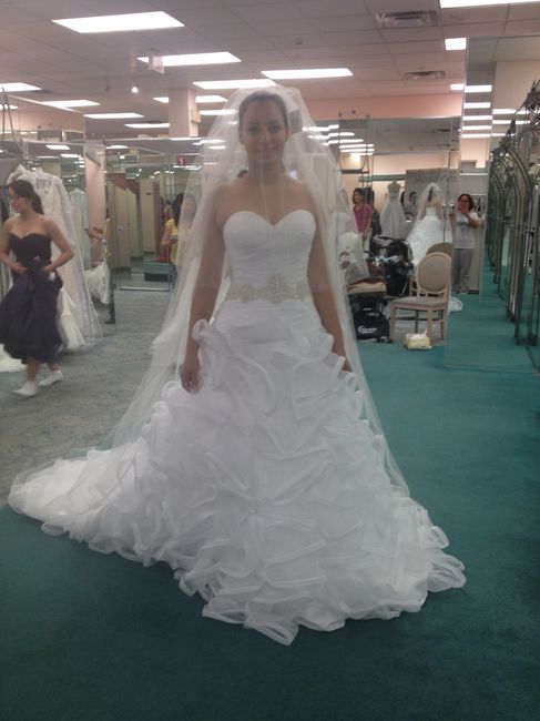 WWWWD?  Need veil advice.