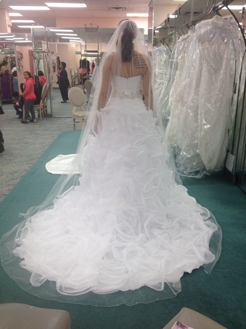 WWWWD?  Need veil advice.