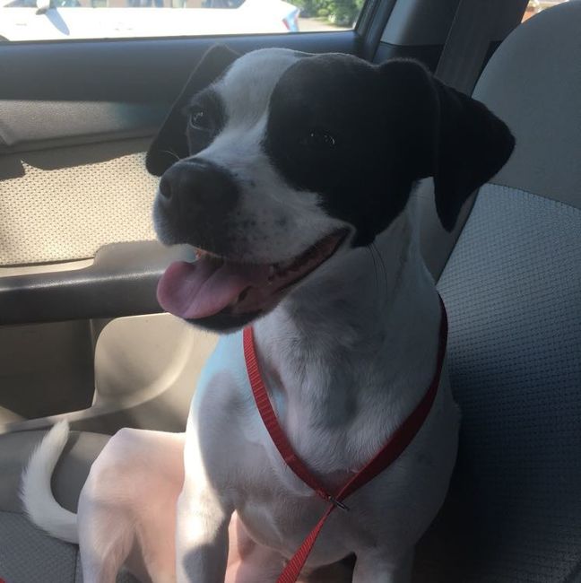 NWR: Furbaby!