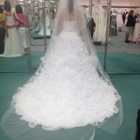 WWWWD?  Need veil advice.