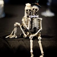 pro bam ❤️❤️ (finally) Black Dress! Silver hair! Nightmare before Christmas 😍 pic heavy - 6