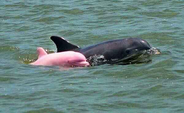 What made your venue The One? - 1