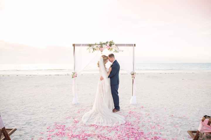 Pro Bam. Mini sneak peak - 1