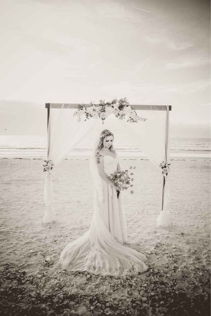 Bam!! Pic heavy. - 7