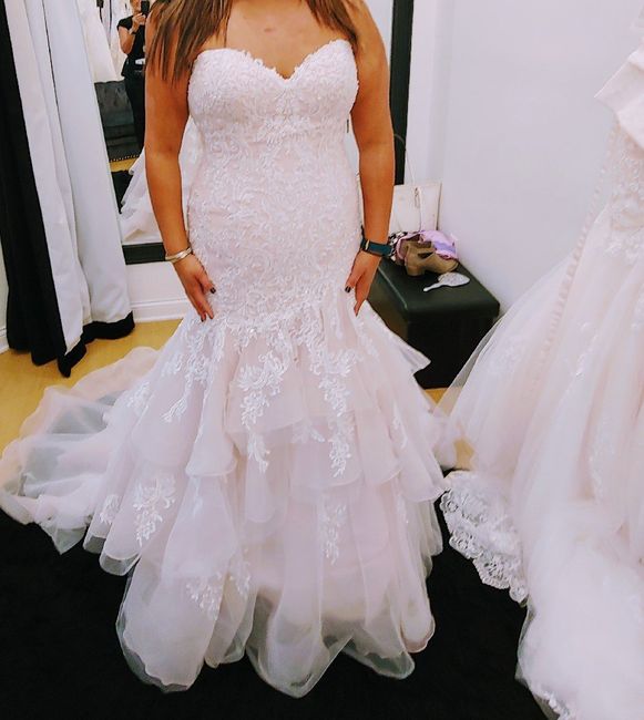 dress hunting Tips? & plz share your gown!! 3