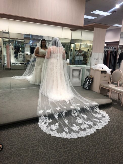 Veil - 1