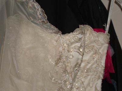 MY VEIL IS HERE!!! AHH!