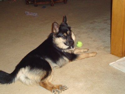NWR: I wanna play too! (pic heavy)