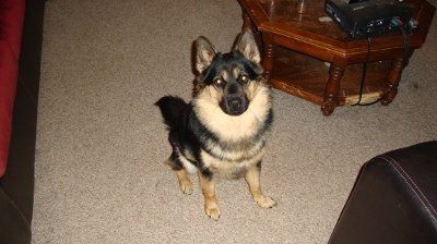 NWR: Lets see our pets!!