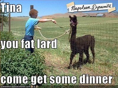 Xtina! Eat the food!