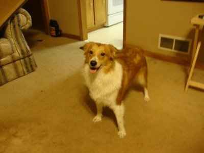 NWR: Urgent!!! $20 will save their lives