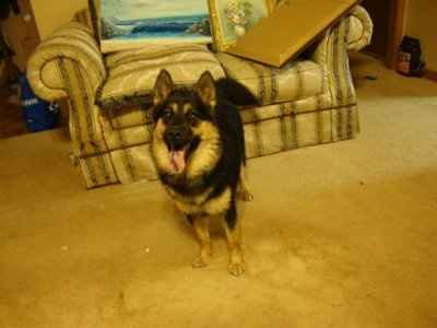 NWR: Urgent!!! $20 will save their lives