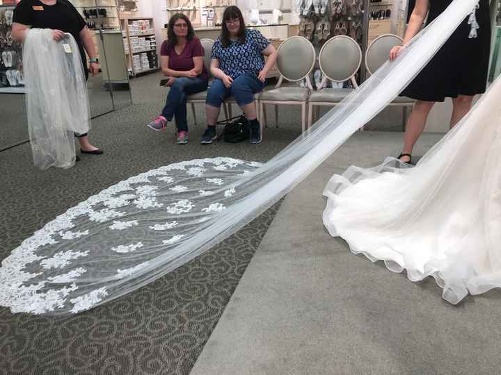 Veil 1