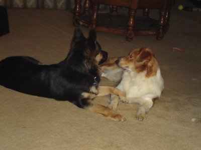 NWR: I wanna play too! (pic heavy)
