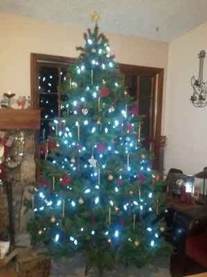 My tree
