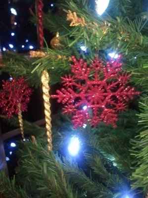 My tree