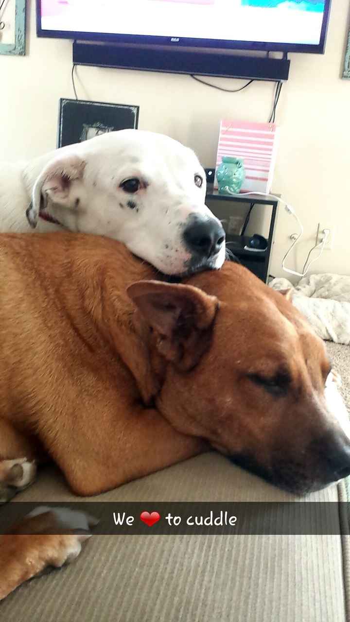 NWR: longest week ever. Need kitten pictures