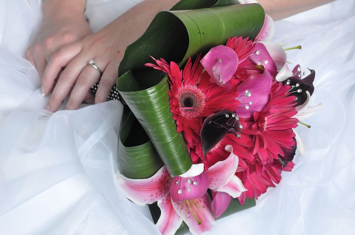 Back and Married!