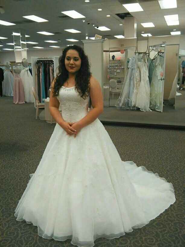 I say yes to the dress
