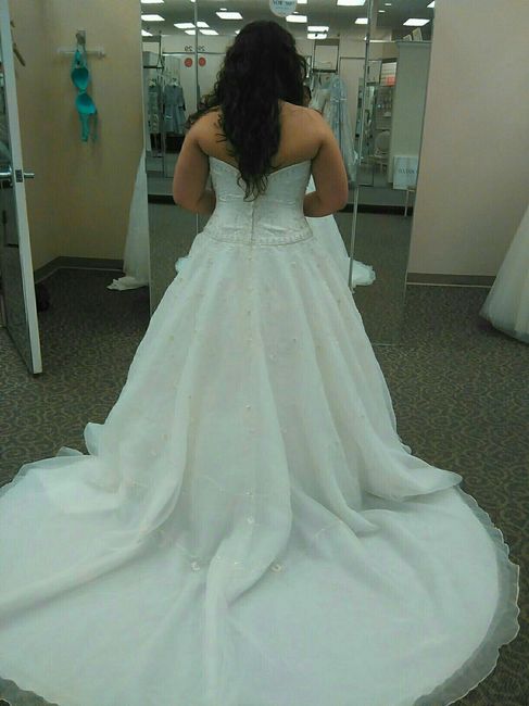 I say yes to the dress