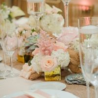 Pro BAM - 42 Days of Wedded Bliss