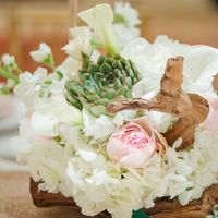 Pro BAM - 42 Days of Wedded Bliss