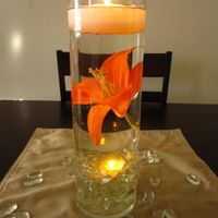 I think I have decided on.... opinions welcome!