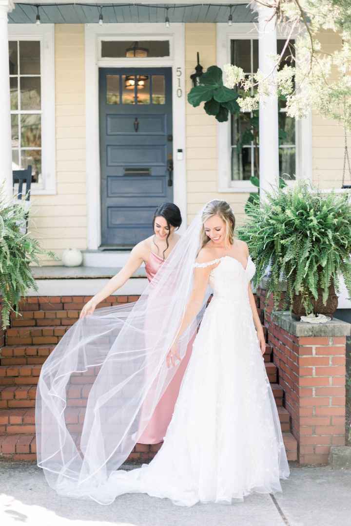 veils - 1