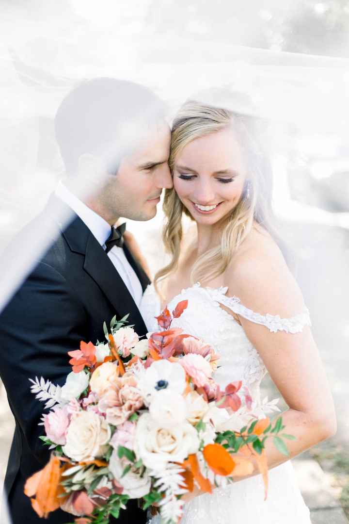 veils - 3