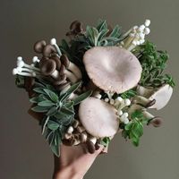 Mushrooms *******************