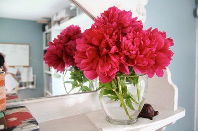 Peonies