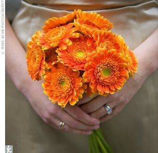 Can someone show me bouquets/arrangemets for ceremony with gerber dasies.....